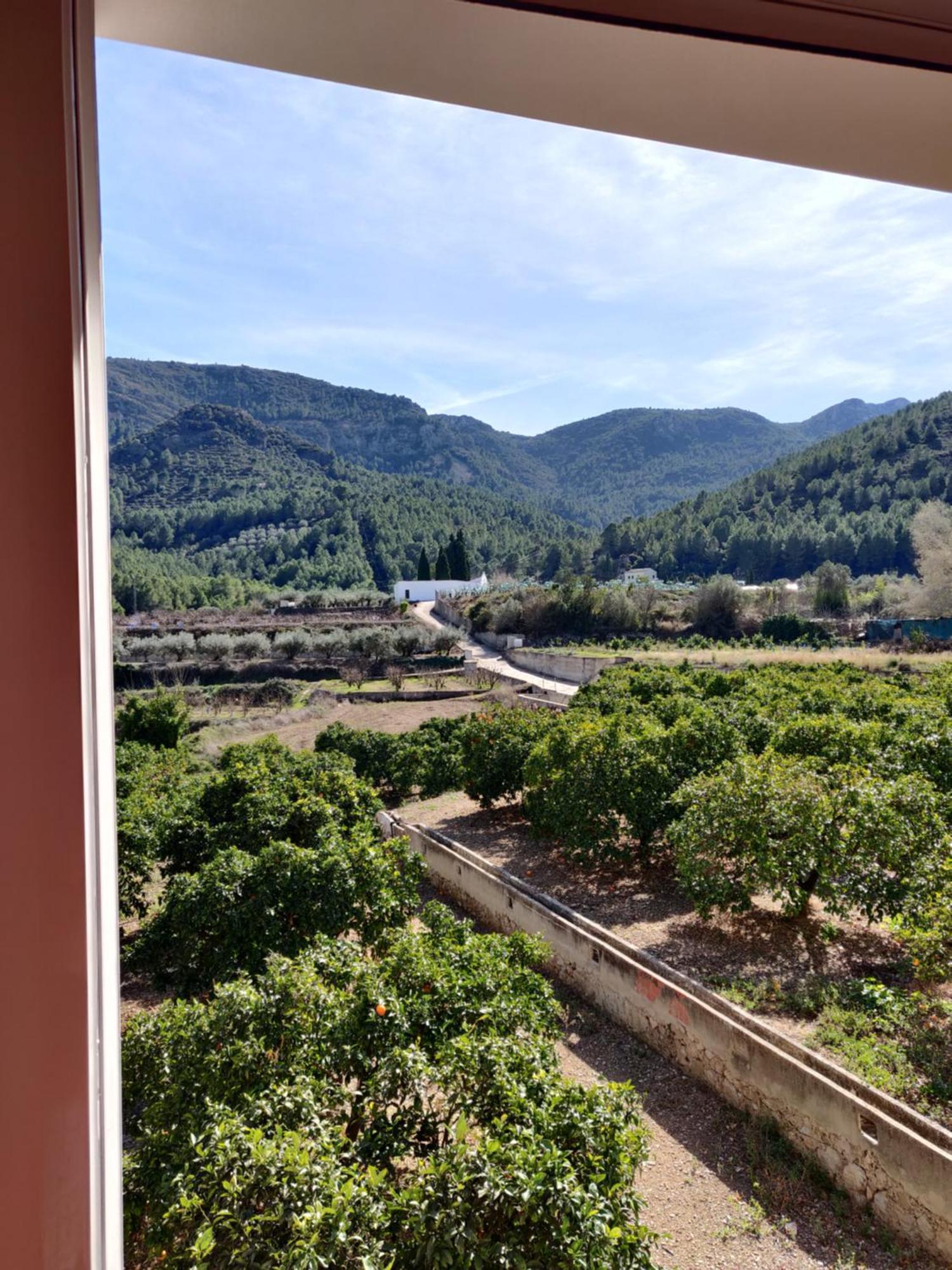 L'Almassera - Chimenea Y Montana Para Grupos En Aielo De Rugat Ayelo de Rugat Buitenkant foto