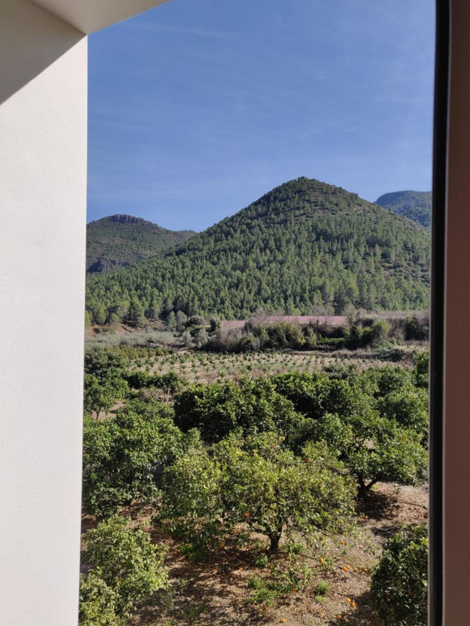 L'Almassera - Chimenea Y Montana Para Grupos En Aielo De Rugat Ayelo de Rugat Buitenkant foto