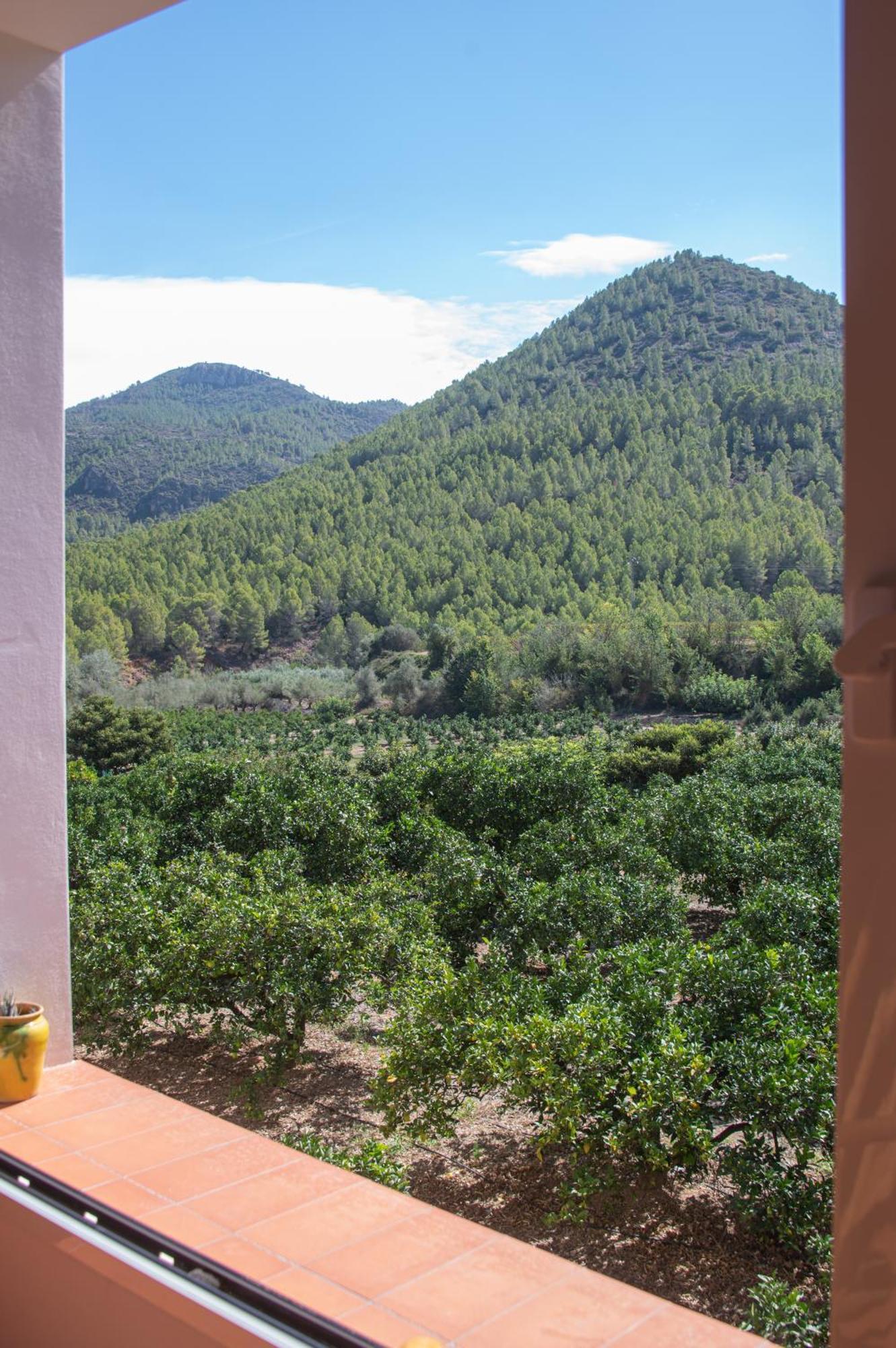 L'Almassera - Chimenea Y Montana Para Grupos En Aielo De Rugat Ayelo de Rugat Buitenkant foto